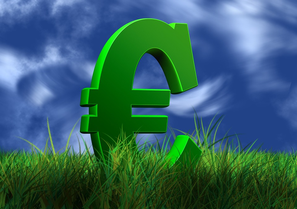 euro v trávě